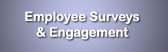 Employee Surveys & Engagement - Employee and exit interviews, measuring employee engagement and satisfaction surveys