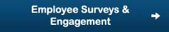 Capture Services: Employee surveys: exit, satisfaction, engagement,  HR surveys, interviews, human resources consulting and interviewing